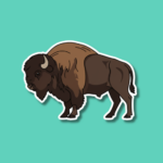 National Bison Day