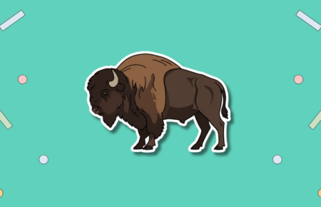National Bison Day