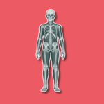 World Radiography Day