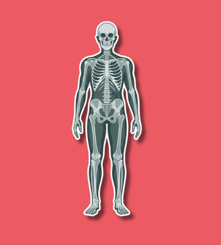 World Radiography Day