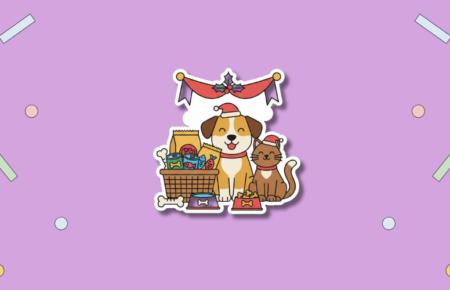 Holiday Food Drive for the Needy Animals Day