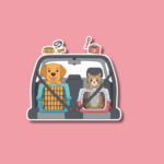 National Pet Travel Safety Day