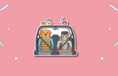 National Pet Travel Safety Day