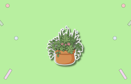 National Houseplant Appreciation Day