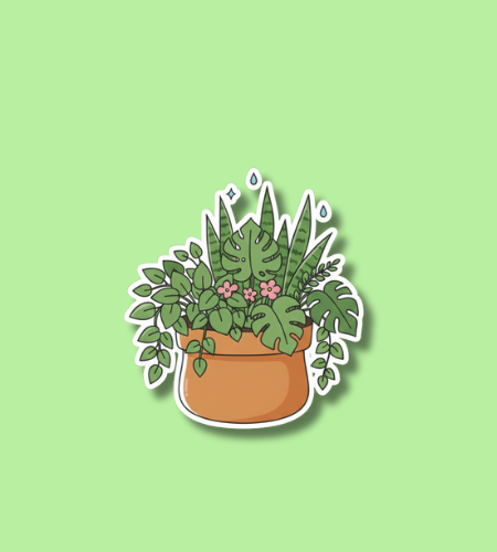 National Houseplant Appreciation Day