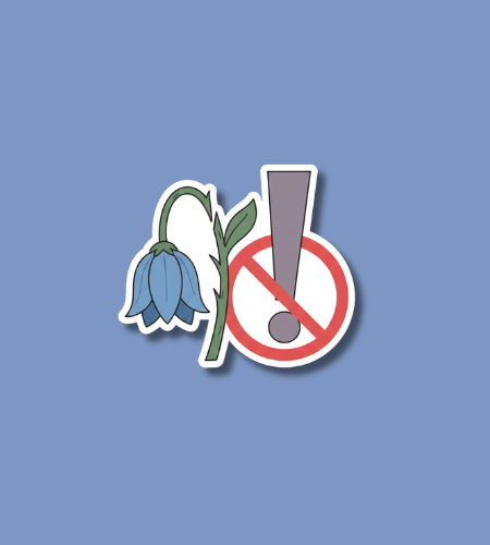 National Impotence Day