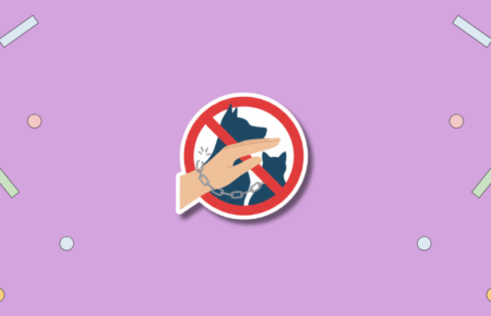National Pet Theft Awareness Day