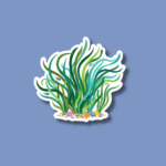World Seagrass Day