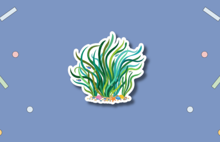 World Seagrass Day