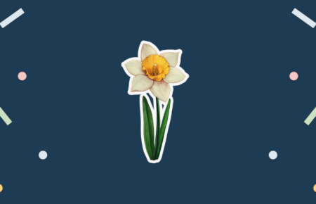 Daffodil Day August