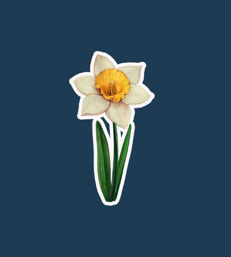 Daffodil Day August
