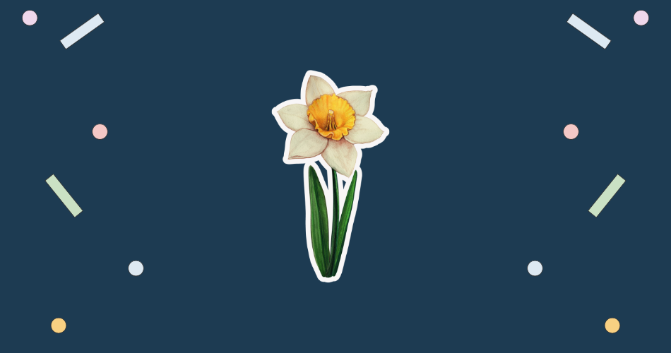 Daffodil Day (August)