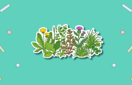 National Weed Appreciation Day