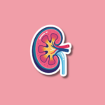 World Kidney Day