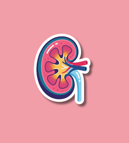 World Kidney Day
