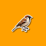 World Sparrow Day