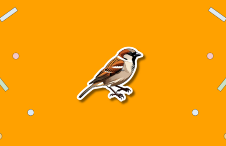 World Sparrow Day