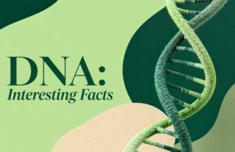 DNA: Interesting Facts