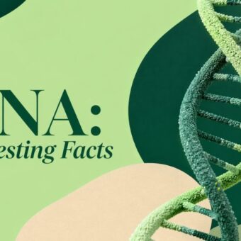 DNA: Interesting Facts