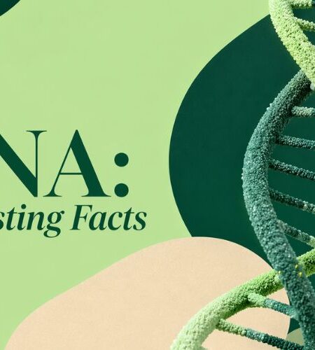 DNA: Interesting Facts