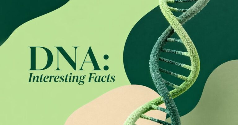 DNA: Interesting Facts