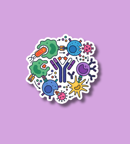 International Day of Immunology