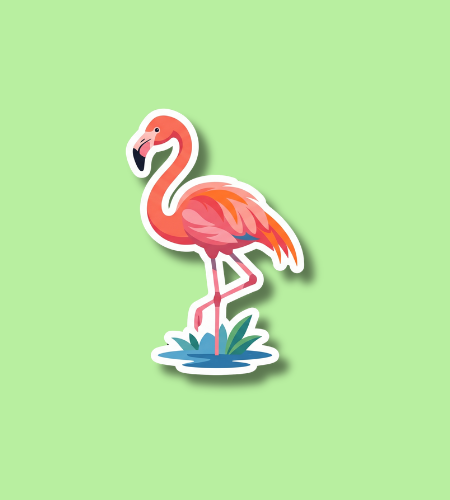 International Flamingo Day