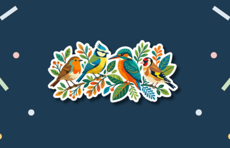 Bird Day