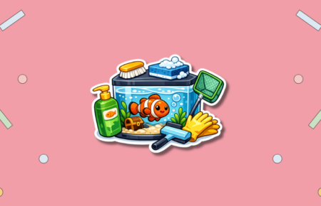 Clean Your Aquarium Day