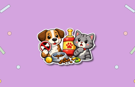 National Pet Choking Prevention Day