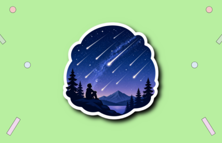 Annual Perseid Meteor Shower Peak Night