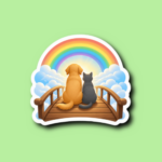 Rainbow Bridge Remembrance Day