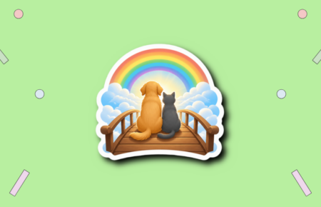 Rainbow Bridge Remembrance Day