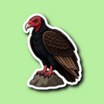 Turkey Vulture Day