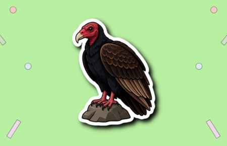 Turkey Vulture Day