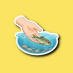 Fish Amnesty Day