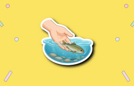 Fish Amnesty Day