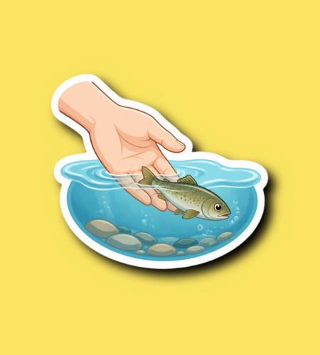 Fish Amnesty Day