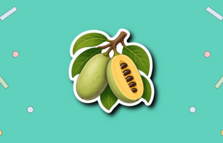 National Pawpaw Day