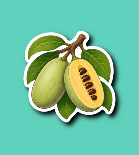 National Pawpaw Day