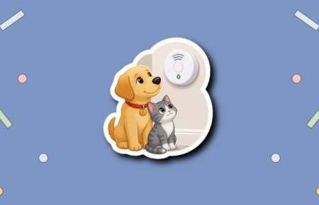 National Pet Carbon Monoxide (CO) Safety Day