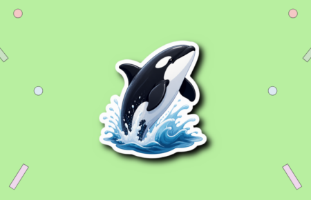 World Orca Day